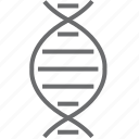 dna, molecule, science