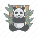 chinese, china, panda, animal, bear