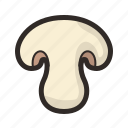 mushroom, funghi, health, healthy, medicinal