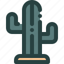 cactus, desert, plant