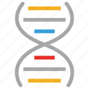 dna, dna chian, helix, medical