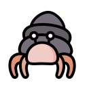 hermit, crab, mollusk, sea, beach