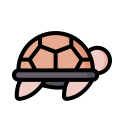 turtle, animal, ocean, reptile, sea