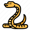 snake, cobra, reptile, animal, wildlife