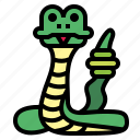 snake, cobra, reptile, animal, wildlife