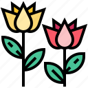 flower, lotus, spa, tulip