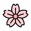 blossom, floral, flower, spring