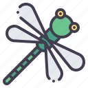 dragonfly, bug, fly, insect, nature