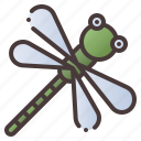 dragonfly, bug, fly, insect, nature