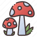 mushroom, food, vegetables, healthy, fungi