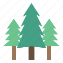 pines, tree, christmas, forest, pine