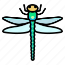 dragonfly, bug, creature, insect