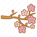 blossom, cherry, flower, spring, tree