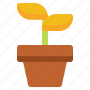 plant, pot, nature, tree, flower