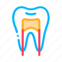 dental, stomatology, tooth