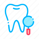 dentist, stomatology, survay, tooth