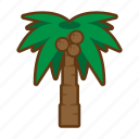 beach, palm, summer, sea, tree