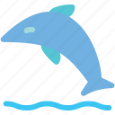 dolphin, fish, sea, whale