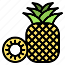 summer, pineapple, fruit, food, tropical, healthy