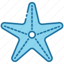 starfish, sea, animal, ocean, fish, beach