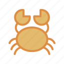 crab, animals, sea