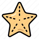 starfish, ocean, marine, animal