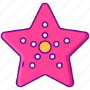 beach, sea, star, starfish