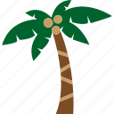 beach, coconut, nature, palm, plant, tree