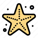 beach, sea, star, starfish