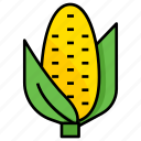 thanksgiving, corn, vegetable, food, maize