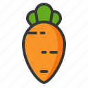 carrot, food, healthy, vegan, vegetable, vegetarian