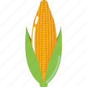 corn, cooking, food, restaurant, vegetable