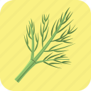 dill, food, greens, healthy, meal, nutrition, vegetable