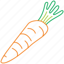 carrot, carrots, organic, vegetable, food, kitchen