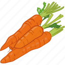 carrot, cooking, root, vegetable, veggie