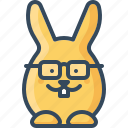 bunny, clever, glasses, hare, nerdy, rabbits, smart