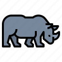 animal, rhino, wildlife, zoo