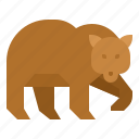 animal, bear, wildlife, zoo