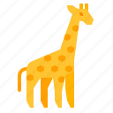 animal, giraffe, wildlife, zoo