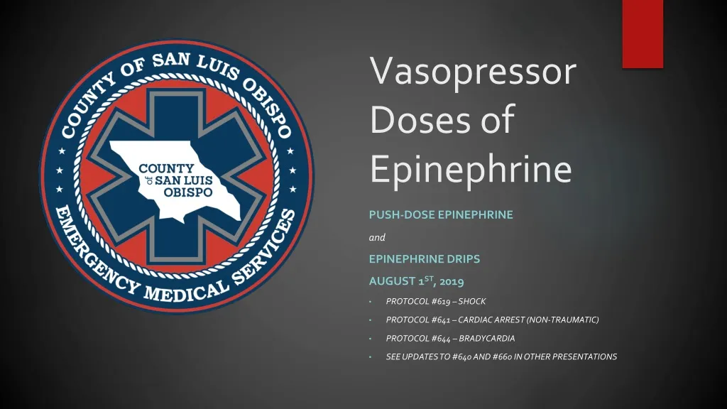 vasopressor doses of epinephrine