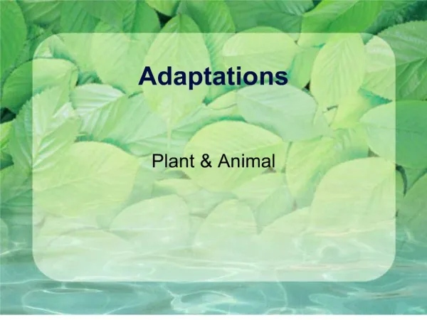 adaptations