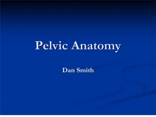 pelvic anatomy