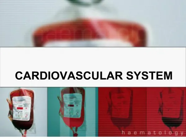 CARDIOVASCULAR SYSTEM