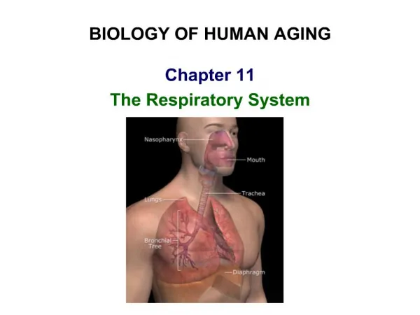 BIOLOGY OF HUMAN AGING