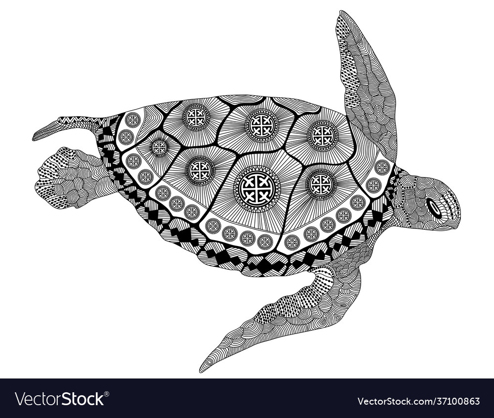 Entangle stylized turtle hand drawn