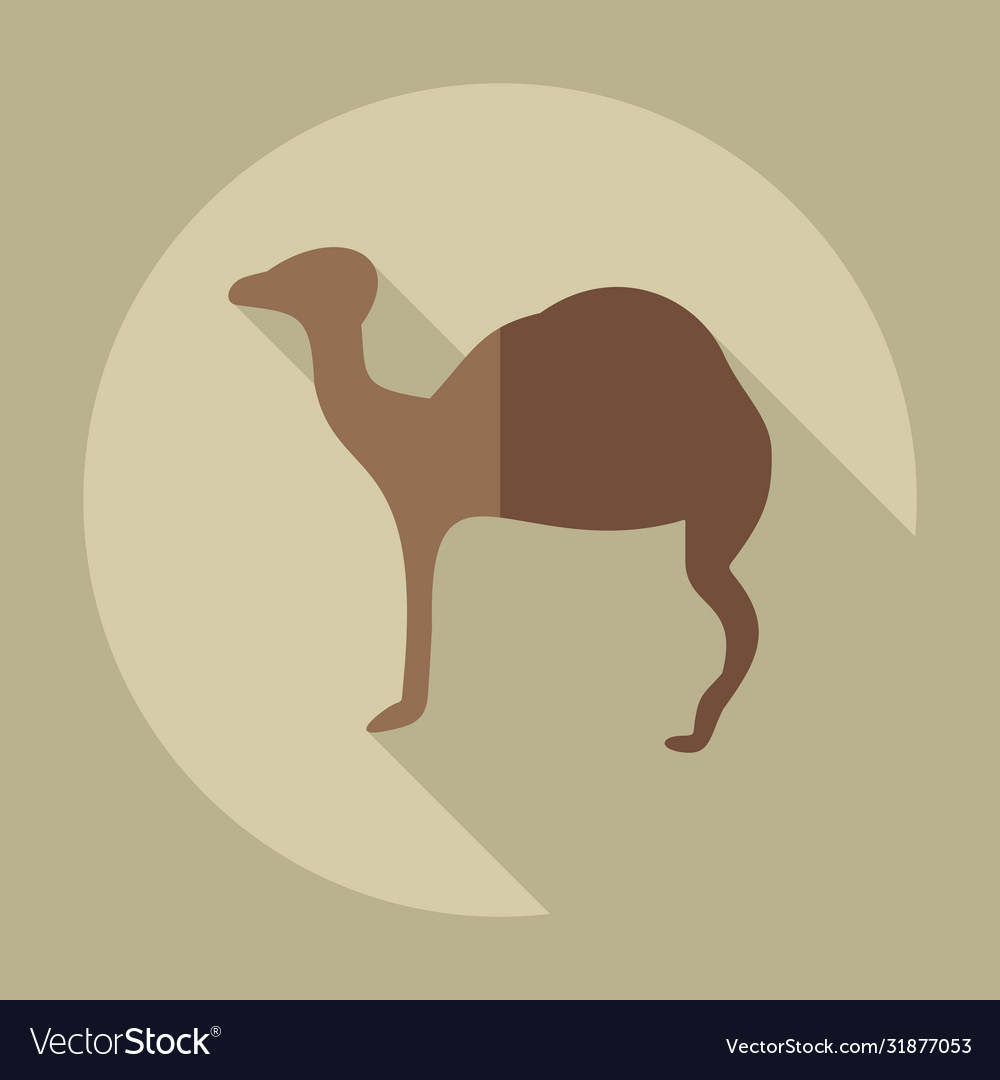 Flat concept set modern design with shadow camel