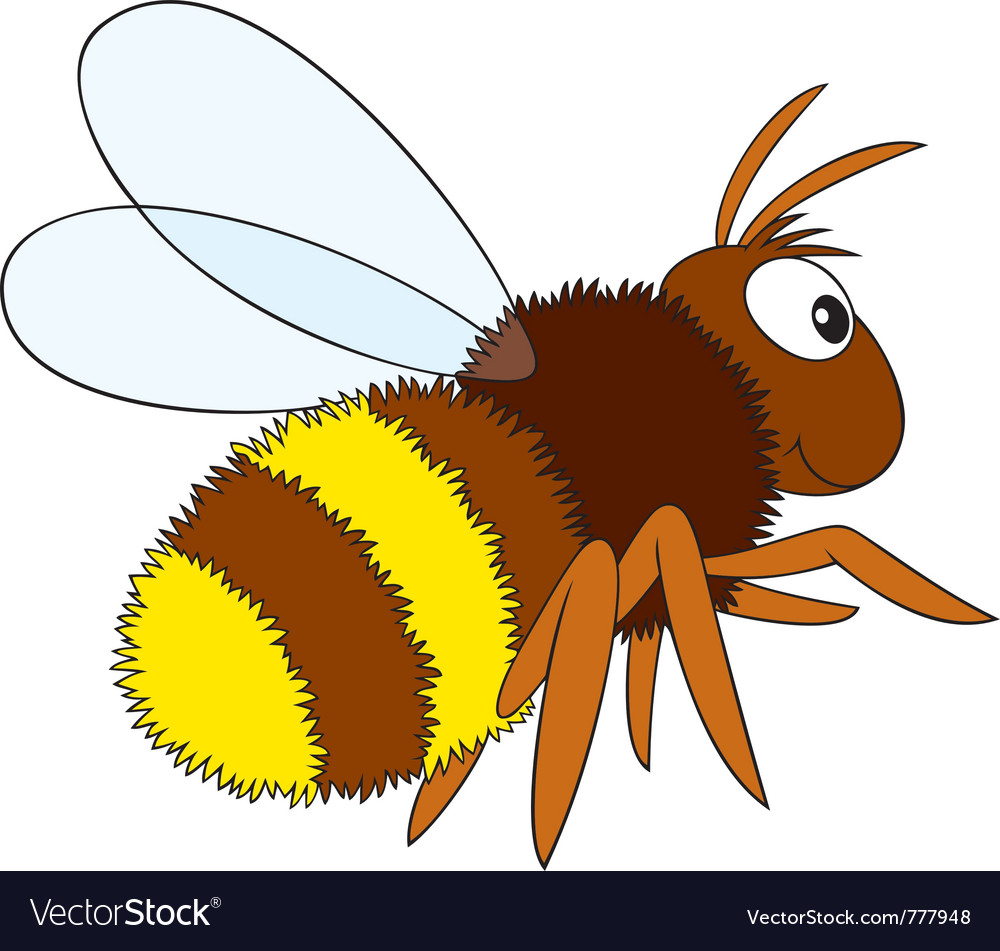 Bumblebee Royalty Free Vector Image - VectorStock