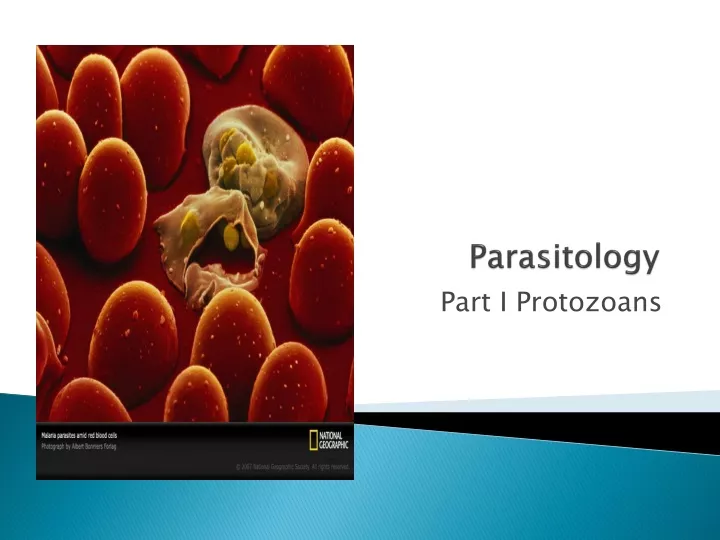 parasitology