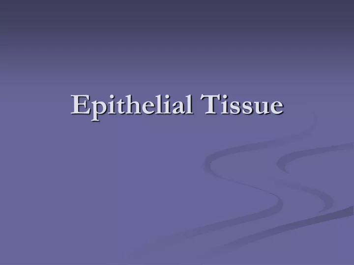 epithelial tissue