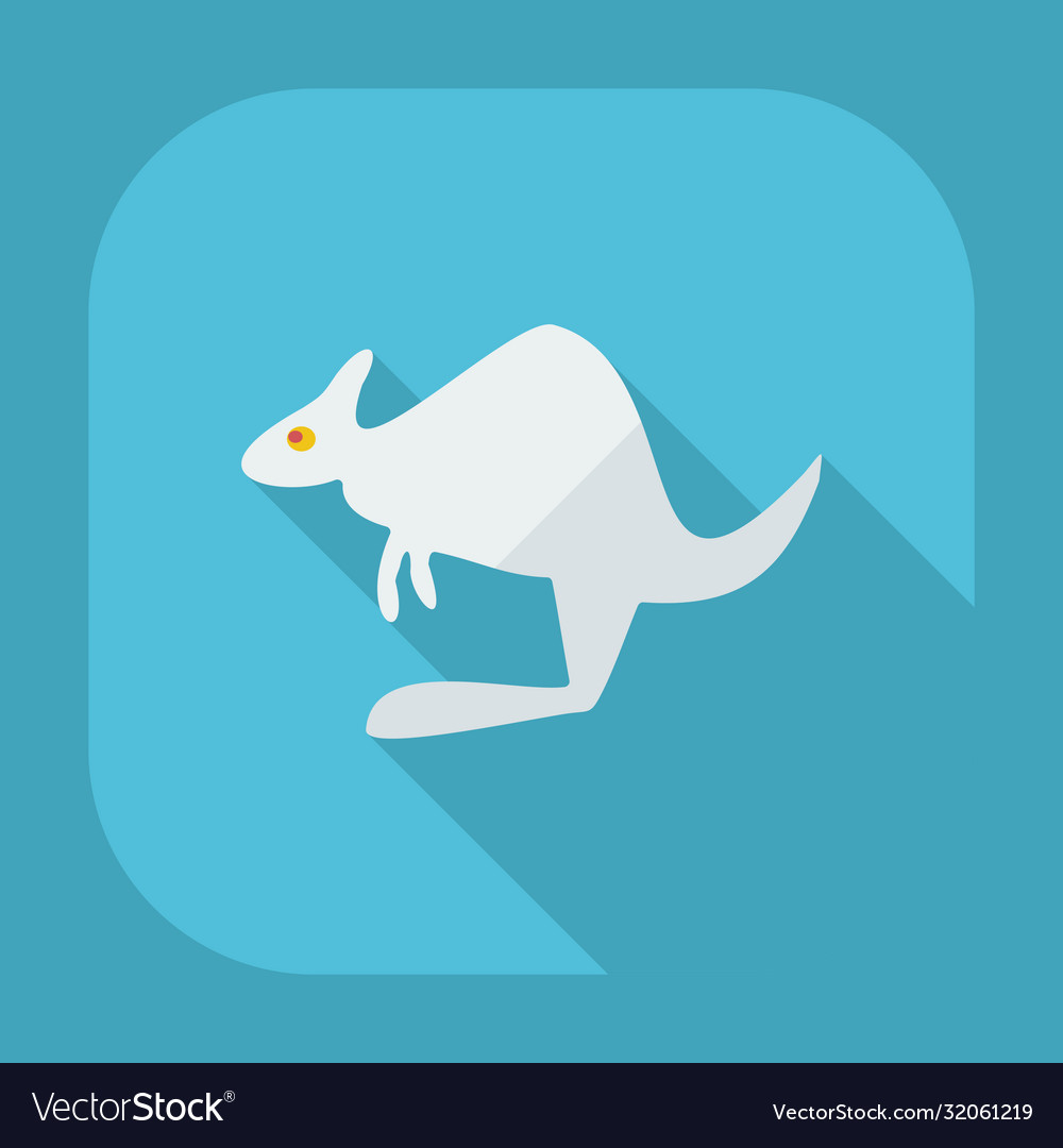 Flat modern design with shadow icons kangaroo